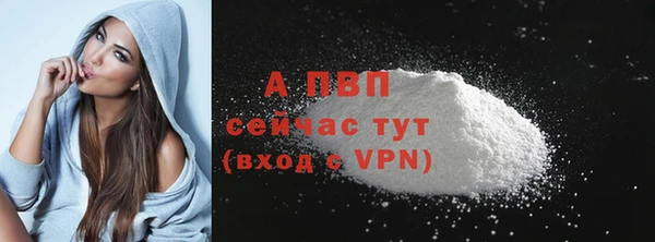 ECSTASY Магас