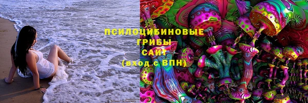 твердый Майский