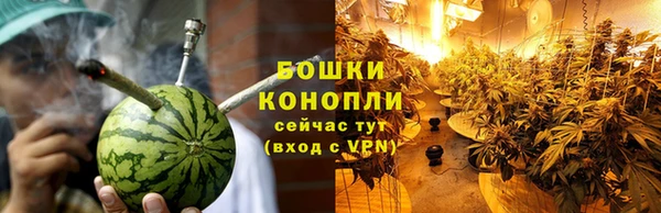 ECSTASY Магас
