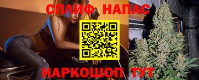 гашик Донской