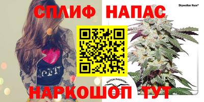 гашик Донской