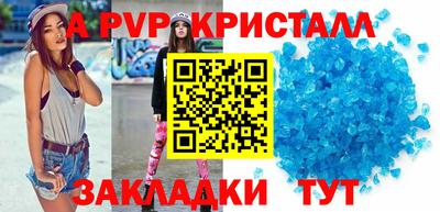 гашик Донской