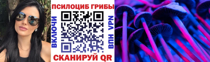 Псилоцибиновые грибы Magic Shrooms  купить закладку  сайты даркнета состав  Феодосия 
