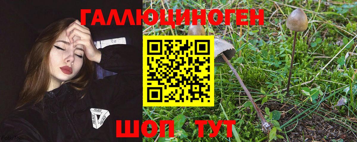 Галлюциногенные грибы Psilocybine cubensis  Вход с VPN  Феодосия  Псилоцибиновые грибы ЛСД 